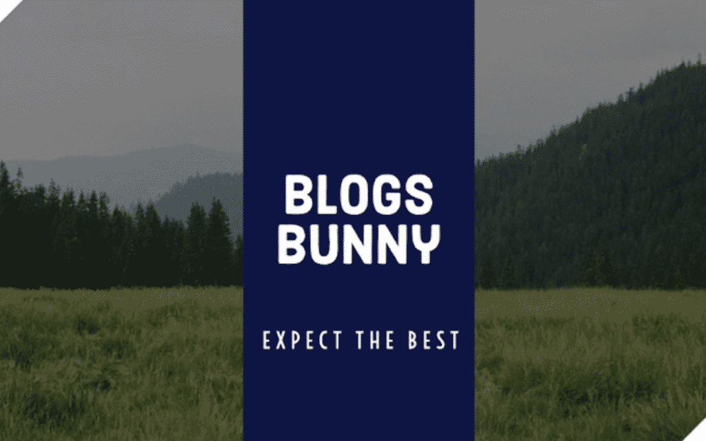 A-Review-of-BlogsBunny-