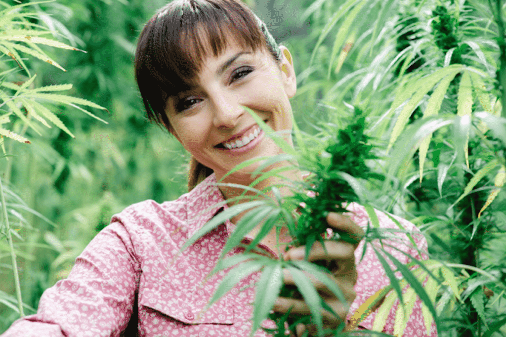 Popular Flower Strains You Can Choose