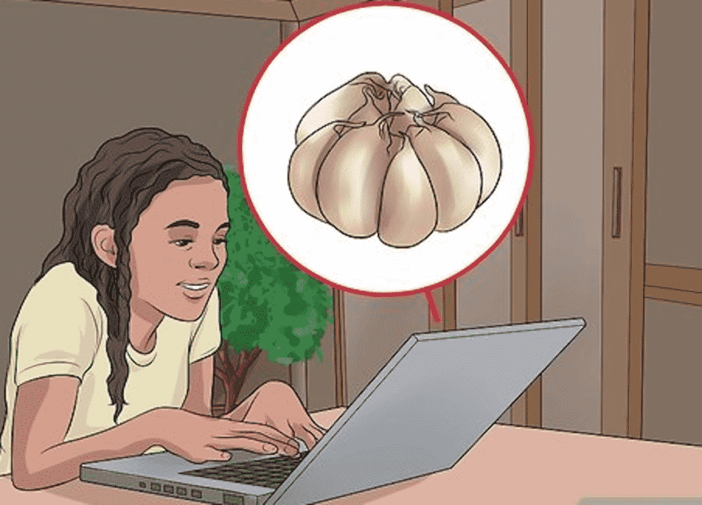 The Benefits Of Garlic