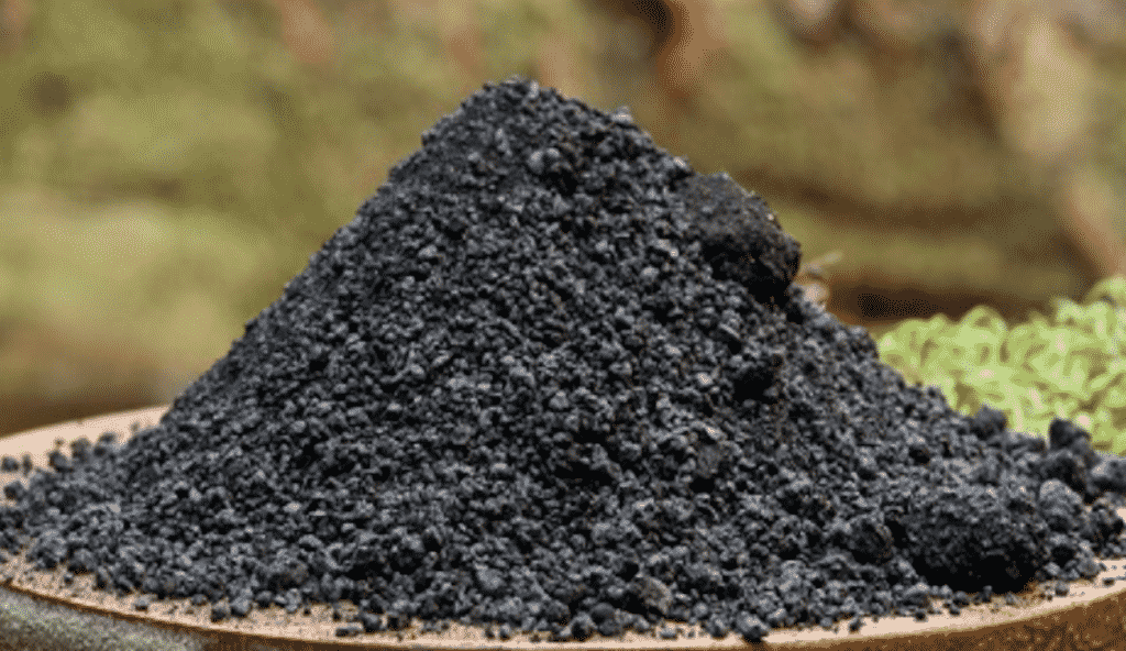What are the Beneficial Substances included in Shilajit?