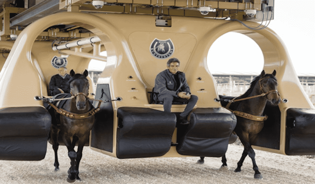 What’s The Impact of Technology on Horse Racing Industry?