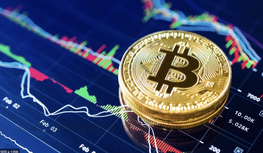 All About Bitcoin Transactions