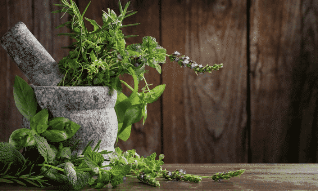 Everything You Need to Know About the Combination of Natural Herbs