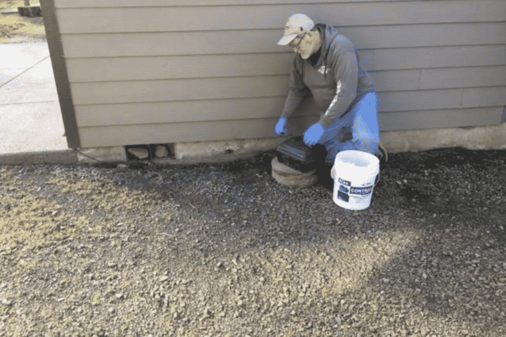 Is pest control worth the money?