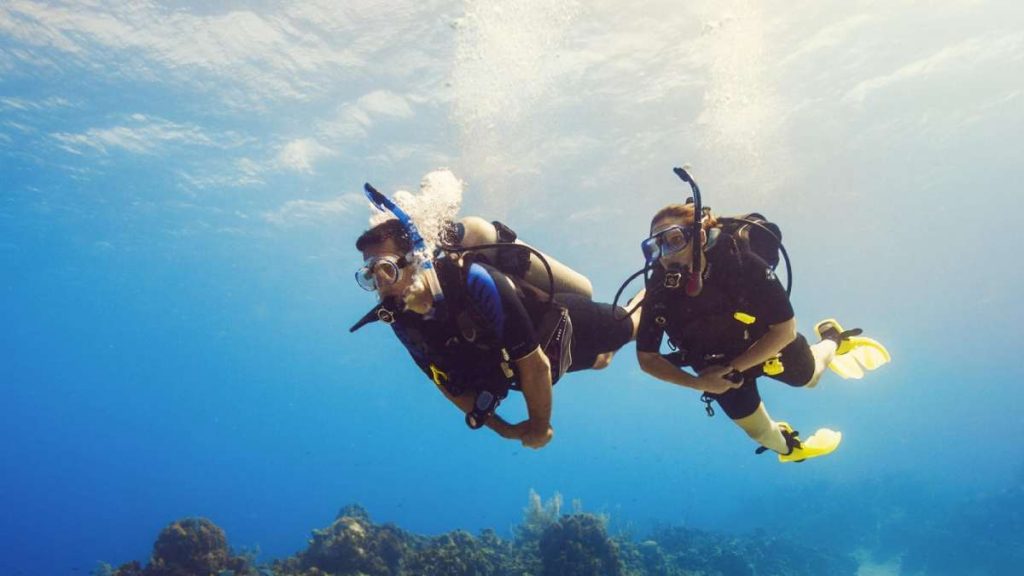 What are the steps of taking a scuba diving course?