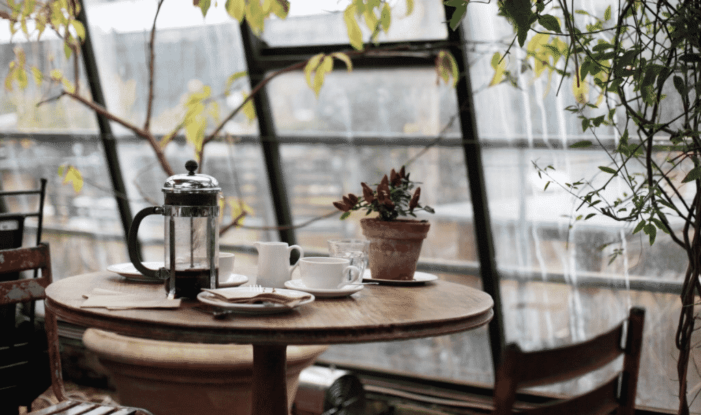 5 Reasons Why Green Cafes Are So Popular At The Moment