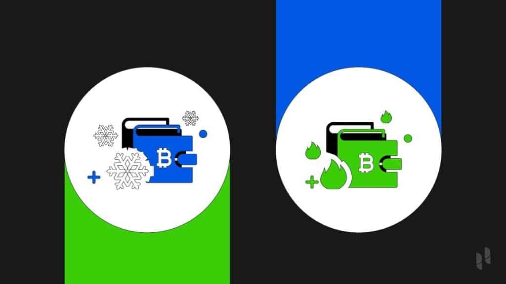 Complete Analysis of Hot and Cold Wallets