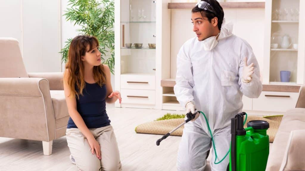 Hiring Pest Control in Alamo Heights? Avoid These Mistakes!