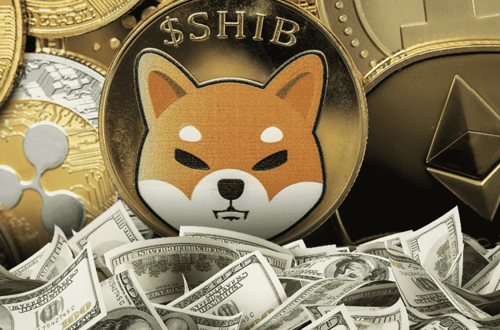 Is it Worth Adding Shiba Inu to Your Portfolio? Let's Find Out