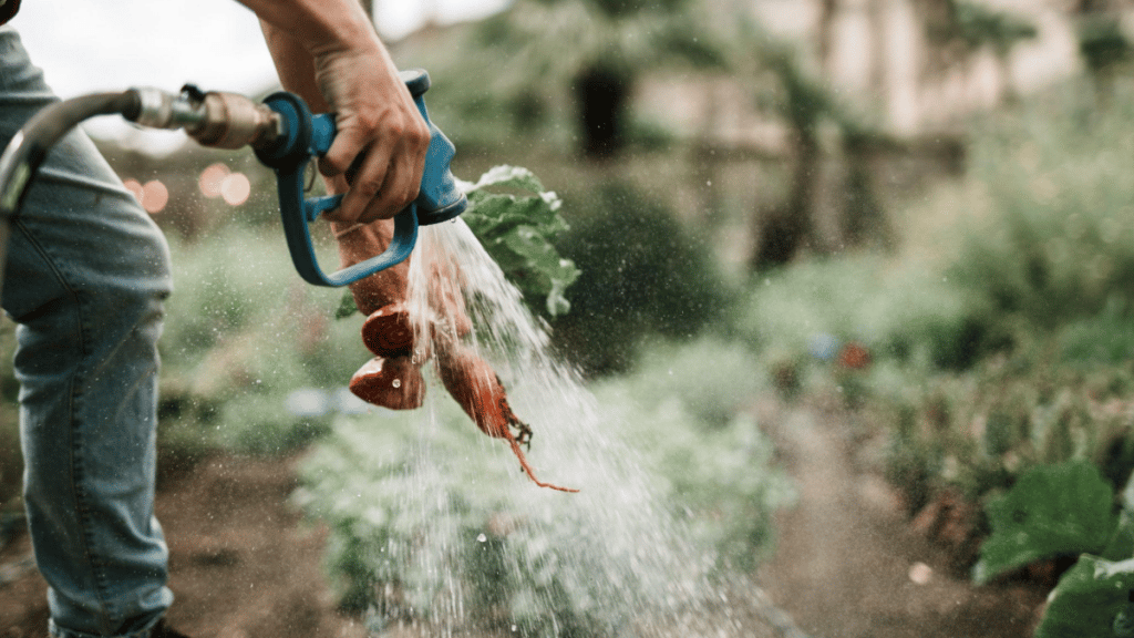 What’s a Retractable Hose Reel and Why Do You Need It?