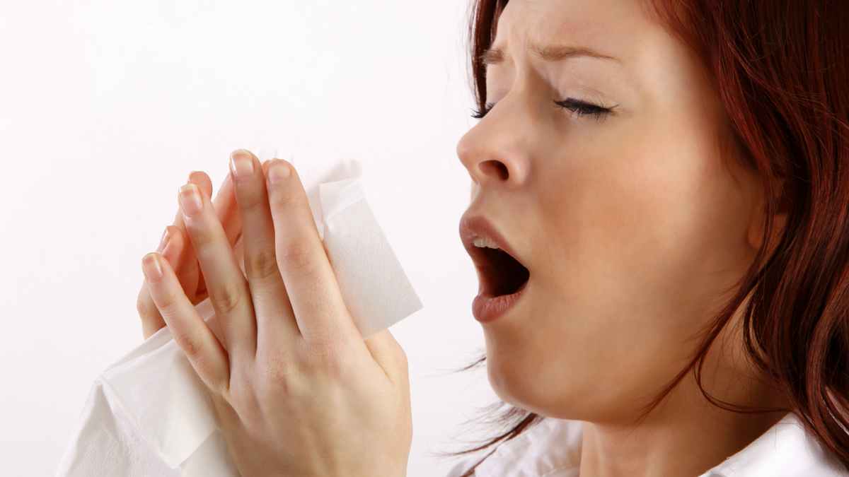Sneezing A Lot What Does It Mean?