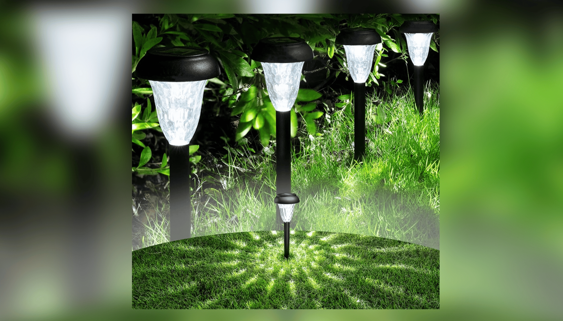 Solar Decoration Lights for the Garden