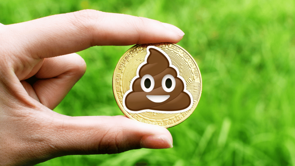 What Is Shitcoin? Here Is Everything You Need To Know About