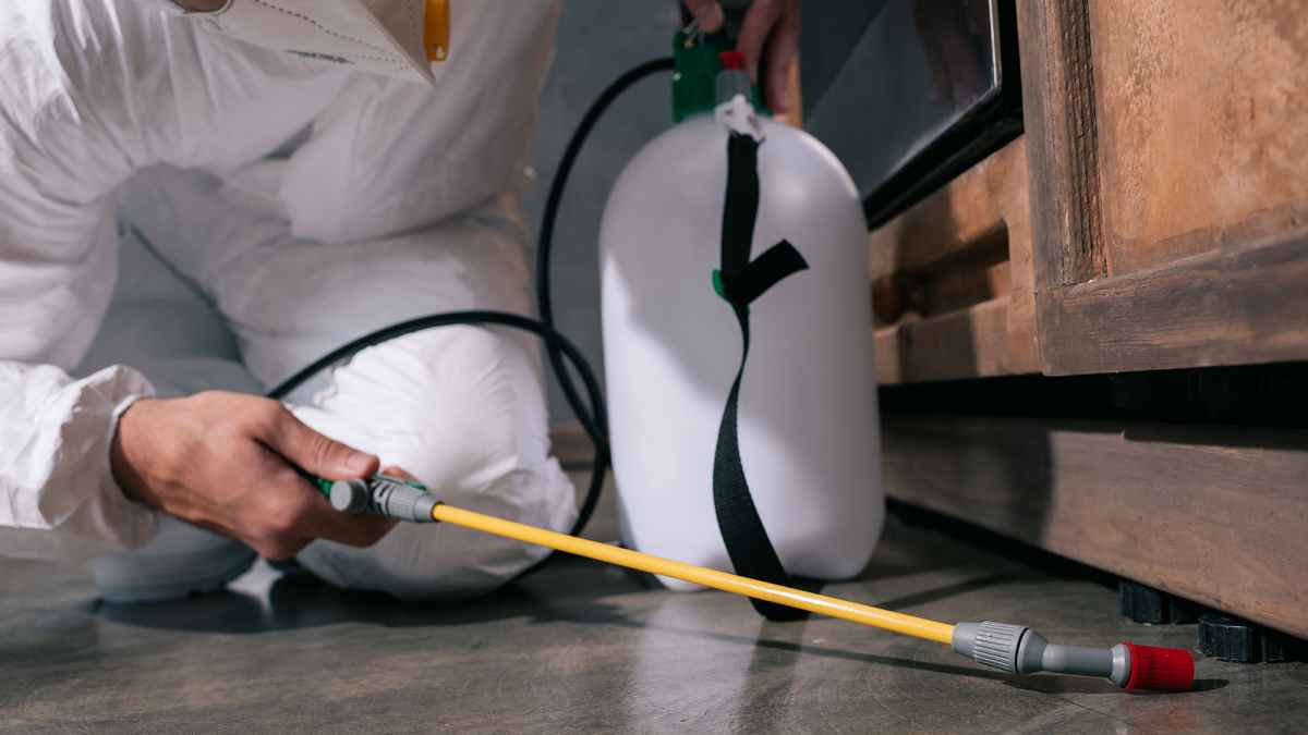 The Importance of Pest Control for Philadelphia Businesses_ Protecting Reputation, Health, and