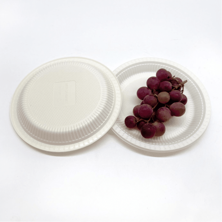 Understand Biodegradable Food Packaging Materials A Comprehensive Overview