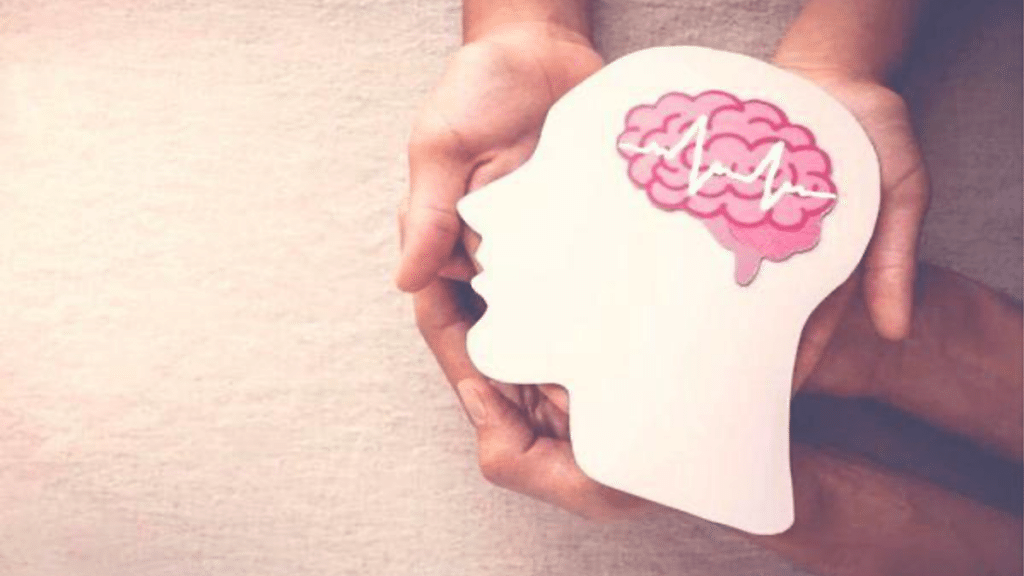 Beginner's Guide To buy Modafinil In The USA