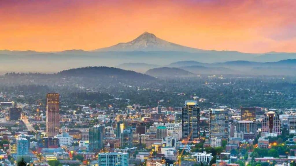 4 Local Solutions For Business Expansion in Colorado