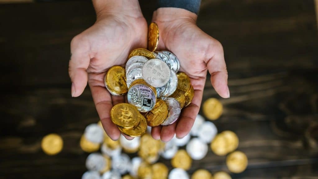 Post-Split Bitcoin and Its Family's Information Flow