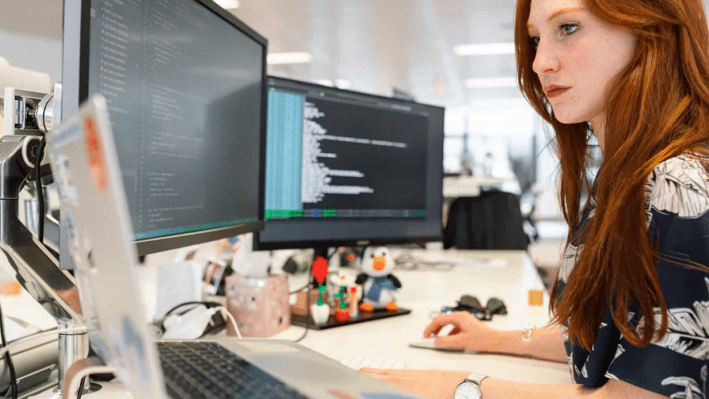 Overview of IT Services: A Categorization