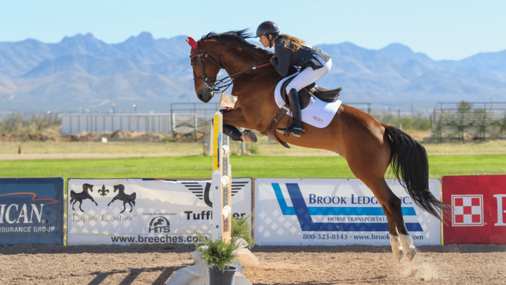 What Are The Main Trends For The Horse Racing Industry in 2024?