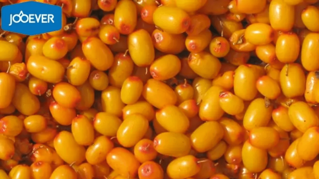 Explore the Promise of Frozen Fruit Market: What Makes it Appealing