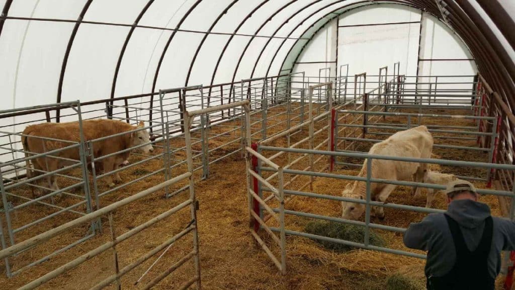 14 Tools and Technologies for Animal Barns