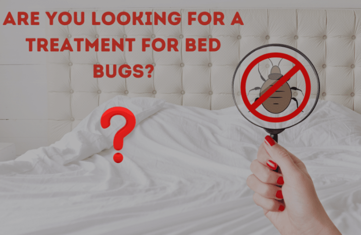 Are you looking for a treatment for bed bugs?