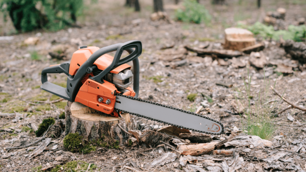 Excellence in Tree Care Arborists Christchurch and Arborists Wellington