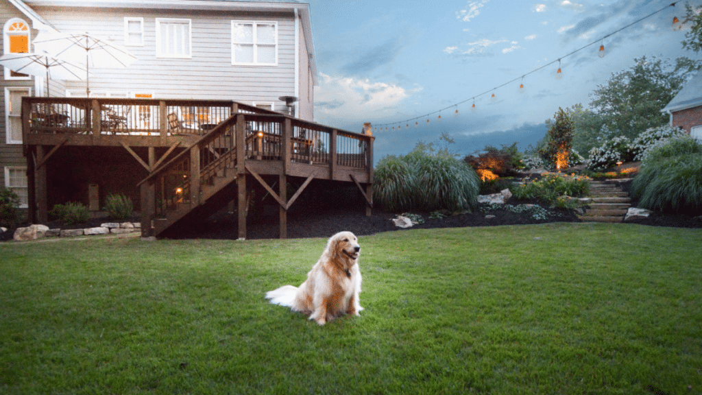 Is Synthetic Turf Installation Worth it?