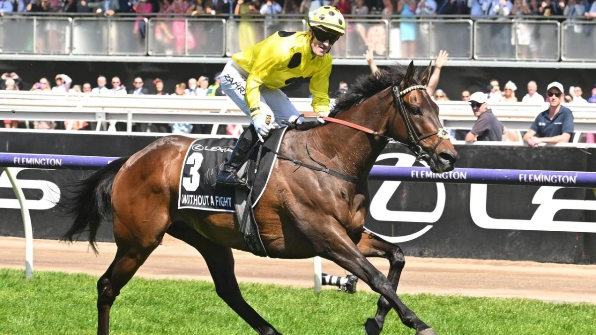 Exploring the Advantages of Melbourne Cup in Australia