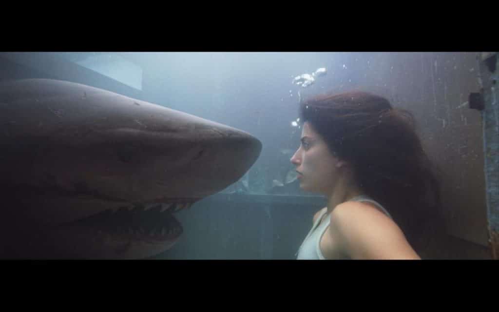 Why Is Deep Blue Sea Rated R: Shark Attack Spectacle