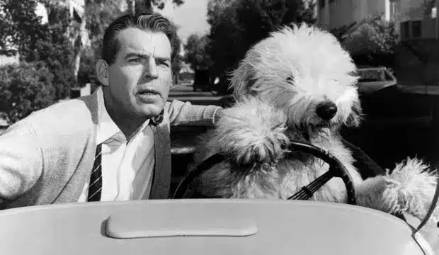 How Tall Was Fred Macmurray: Mystery of "Murder, He Says"