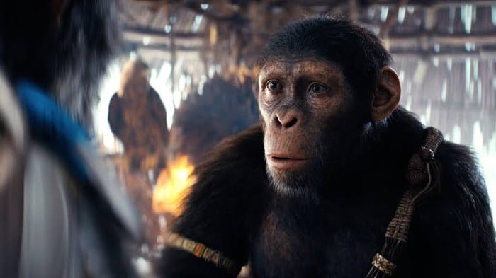 Kingdom Of The Planet Of The Apes Free Online: Entertainment on Hulu