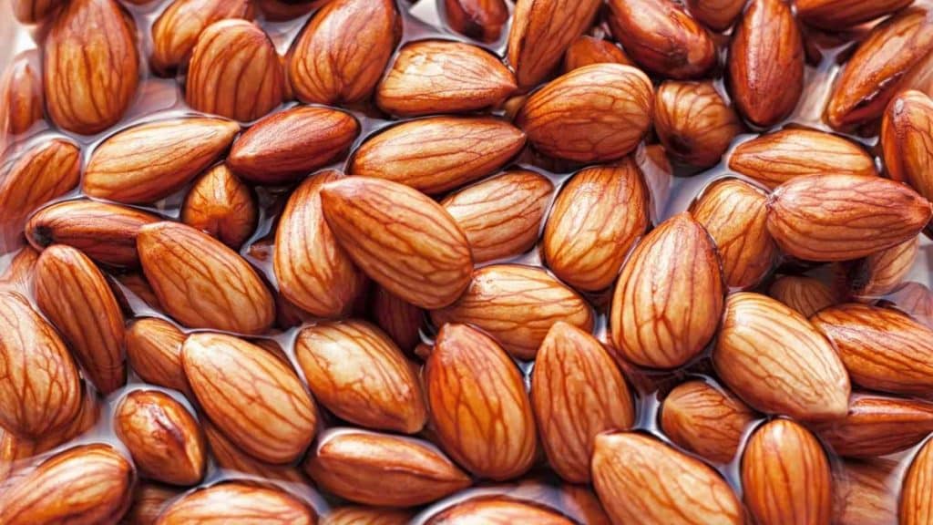 Health Benefits of Eating Almonds Daily Nutrition and Wellness Insights