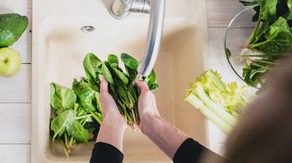 Foodborne Illnesses and Packaged Greens The Connection Between Listeriosis and Ready-to-Eat Products
