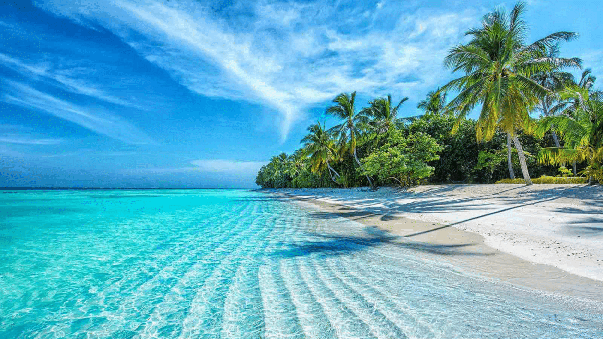 5 Reasons Why The Maldives Is The Best Destination For Your Next Trip