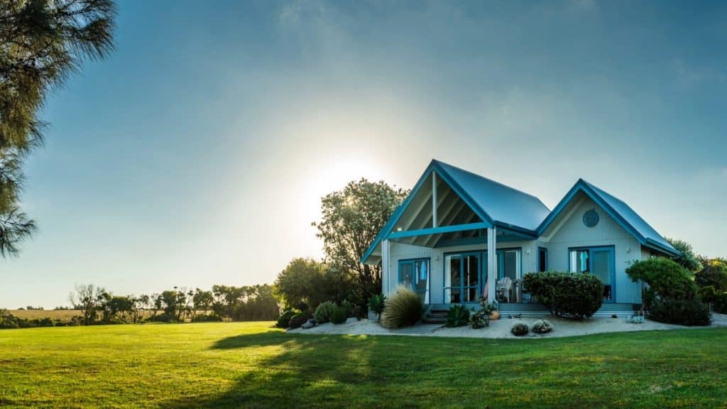 Clean Homes and Pest-Free Zones The Dynamic Duo for a Healthy Living Environment