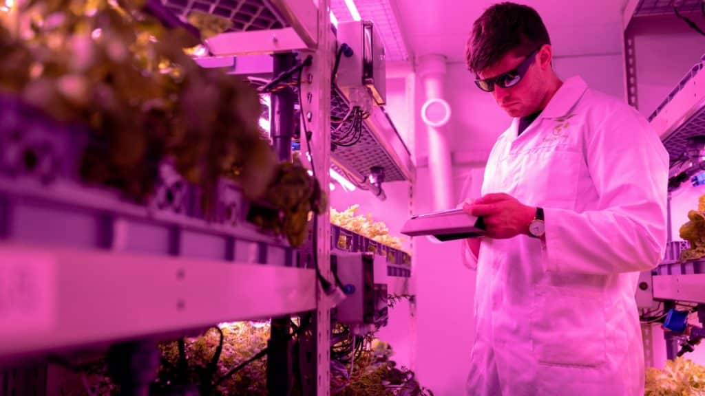Harnessing Technology to Drive Innovation in Agriculture