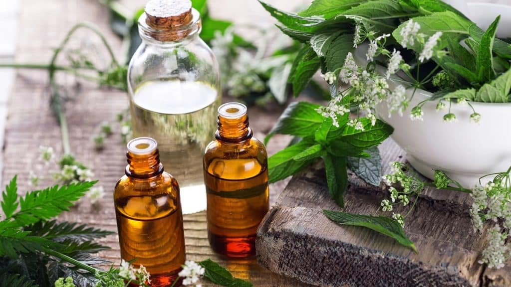 Healing Naturally Can Homeopathy Help in the Fight Against Addiction?