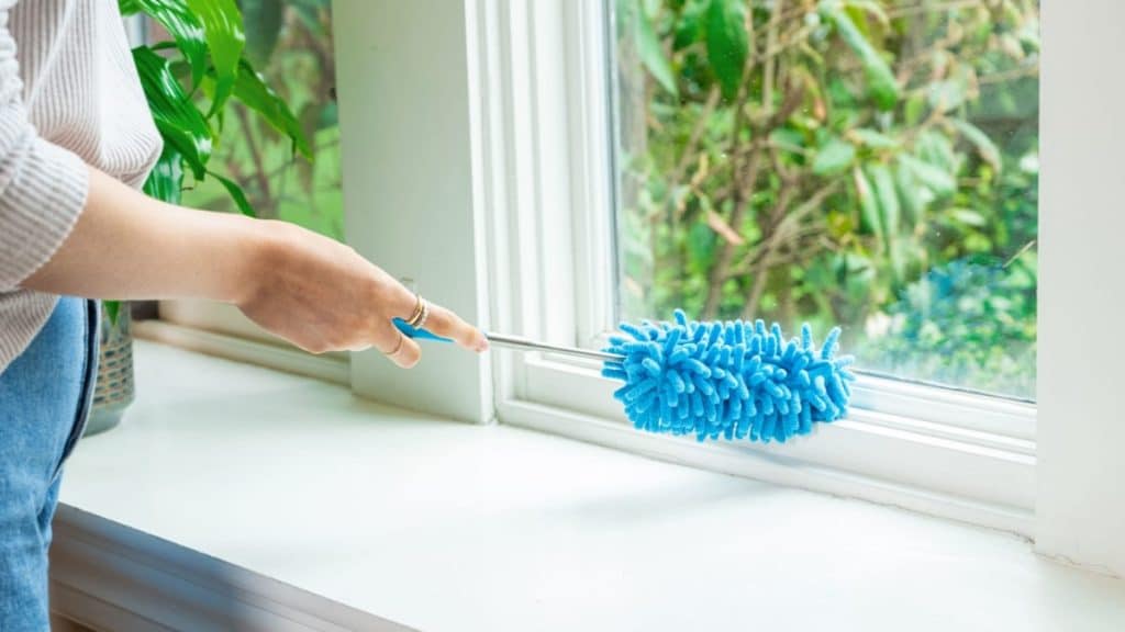 How to Choose the Right Dust Cleaner for Your Needs?