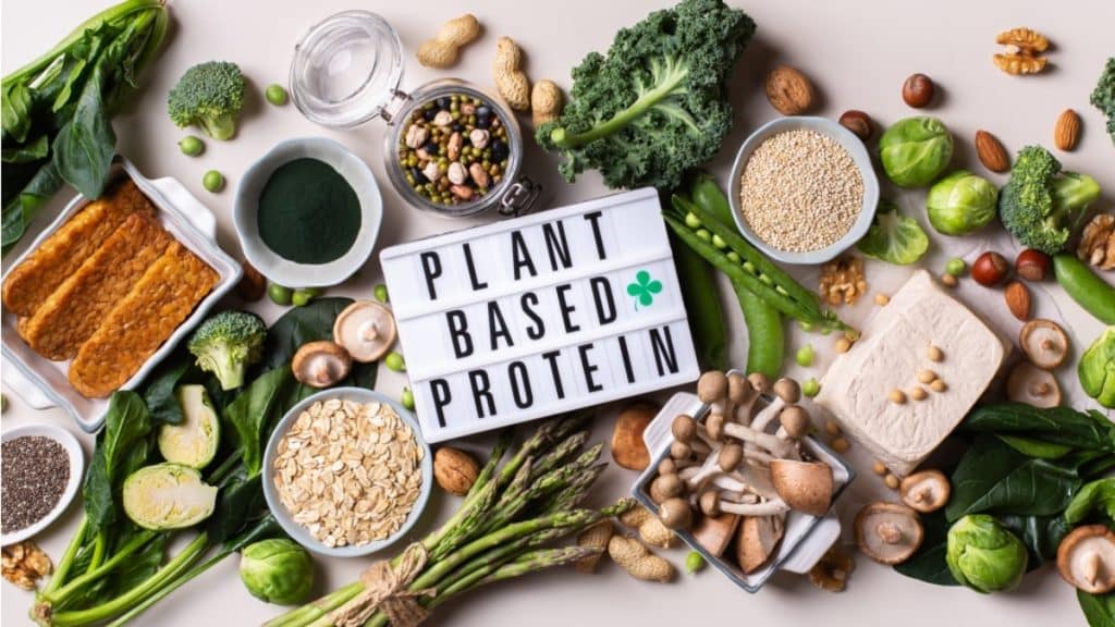Macronutrient Essentials For a Balanced Plant-Based Diet