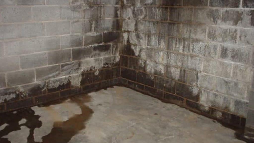 Suffering from a Wet Basement? Here’s How to Fix It
