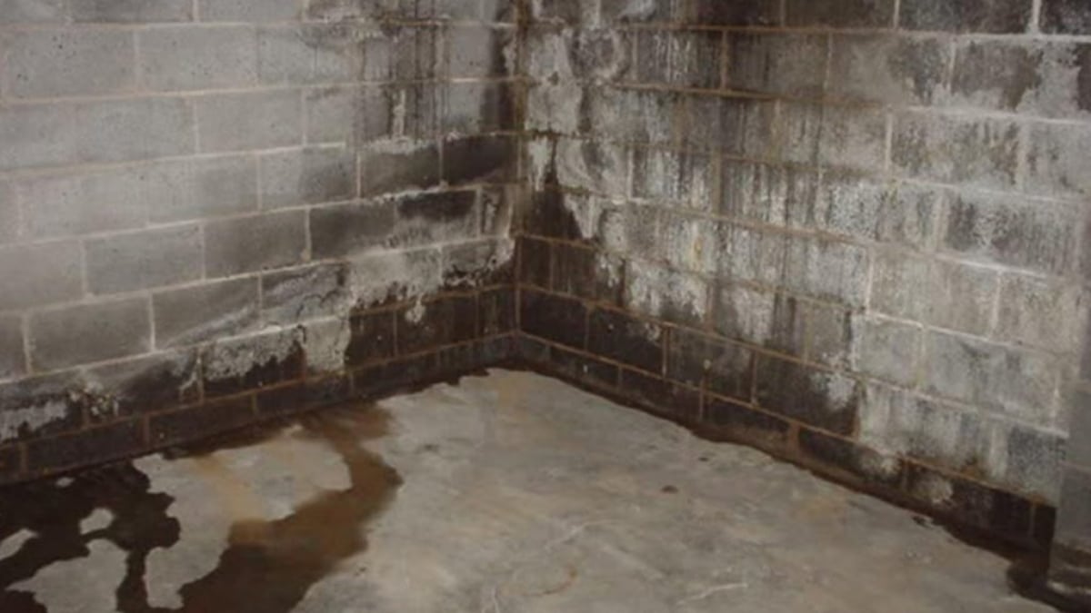 Suffering from a Wet Basement? Here’s How to Fix It