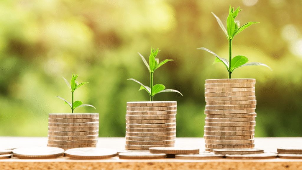 The Role of Credit Scores in Emergency Financial Planning