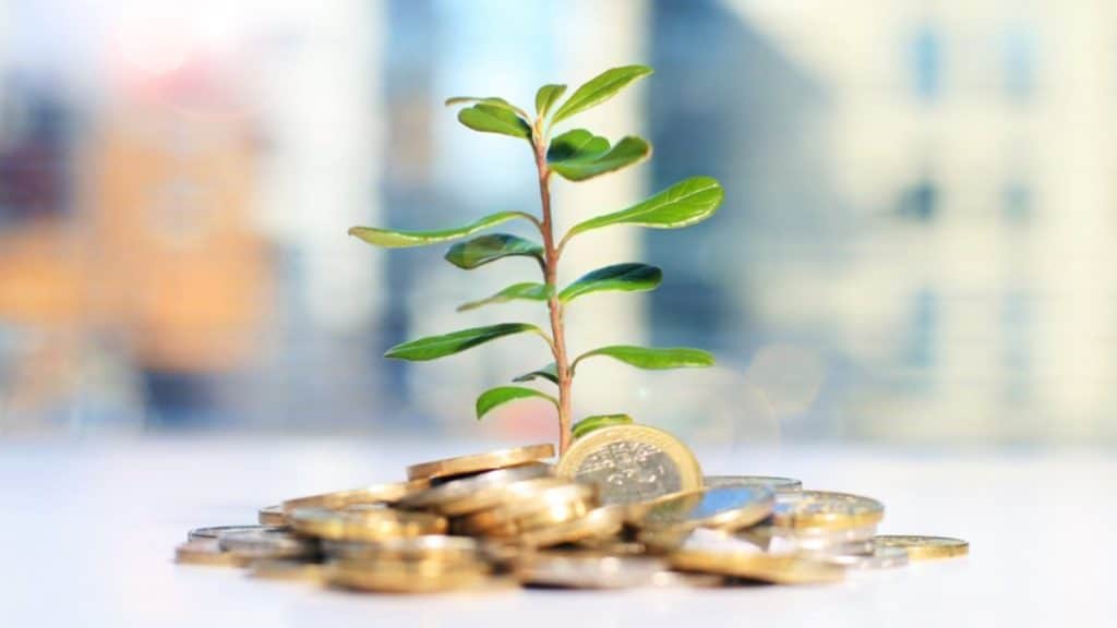 Good Investment Options You Should Consider for Financial Growth