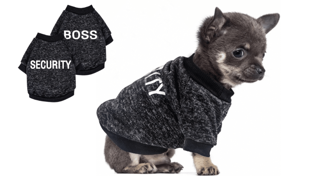 The Ultimate Guide to XXL Dog Jumpers How to provide your Big Dog with warmth and fashion all in one place