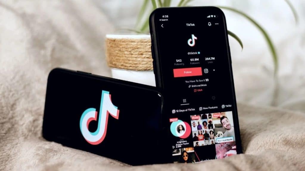 Using TikTok for Business The Full Guide