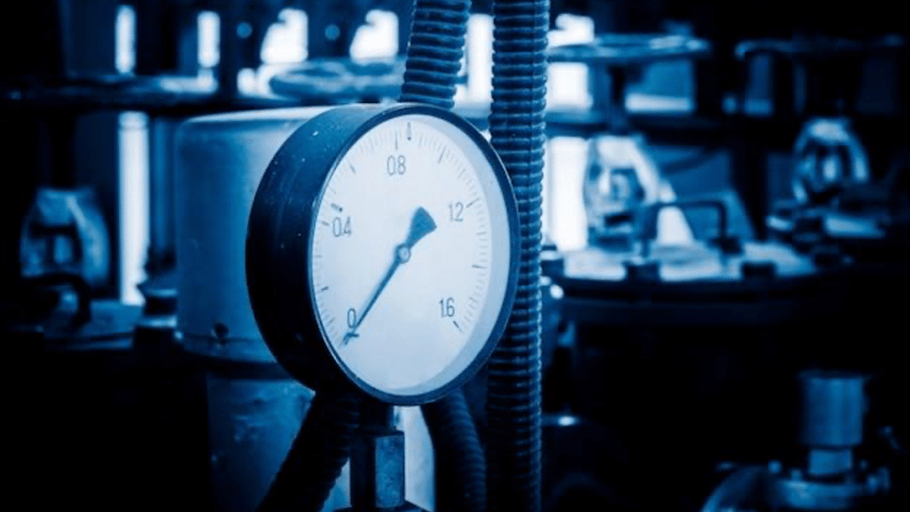 Rising or Drowning The Hidden Impact of Business Gas Costs