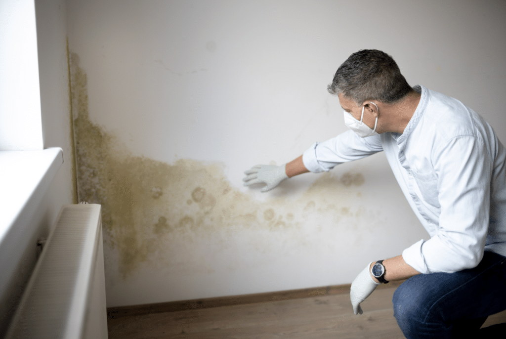 Property Damp Surveys: Your Best Defence Against Moisture Damage