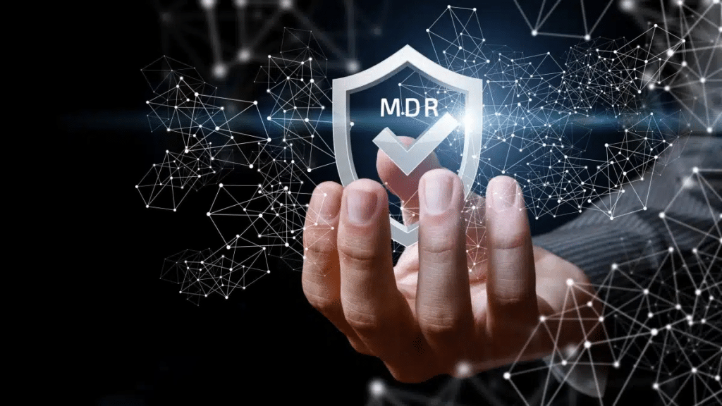 Understanding Managed MDR Services